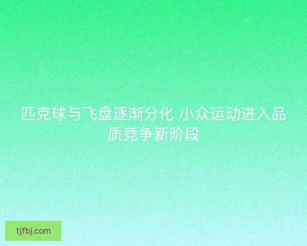 匹克球与飞盘逐渐分化 小众运动进入品质竞争新阶段 匹克球与飞盘逐渐分化 小众运动进入品质竞争新阶段