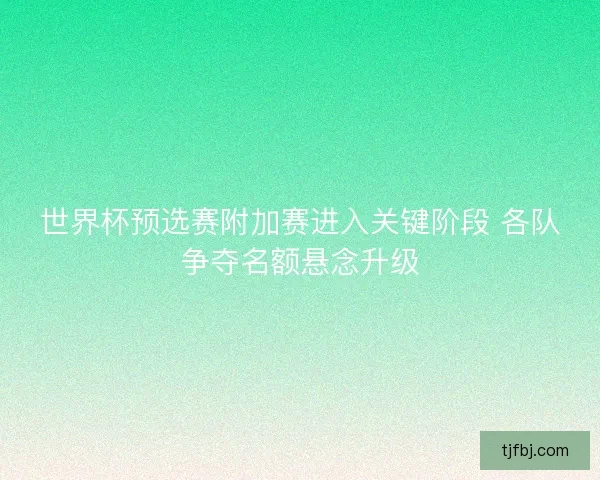 世界杯预选赛附加赛进入关键阶段 各队争夺名额悬念升级 世界杯预选赛附加赛进入关键阶段 各队争夺名额悬念升级