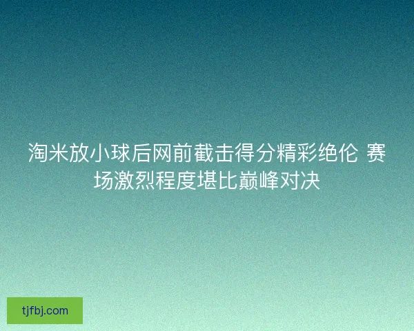 淘米放小球后网前截击得分精彩绝伦 赛场激烈程度堪比巅峰对决